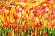 Tulpenwiese by Ute Otto