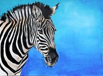 Zebra by markgraefe