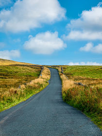 Country Road by Colin Metcalf