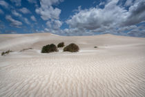 White Dunes @ Fowlers Bay Conservation Park SA - Süd Australien von Eveline Toplak