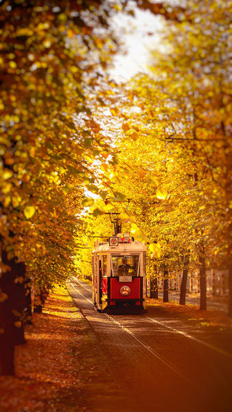 Old-tram-in-autumn-prague