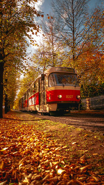 Red Tram by Tomas Gregor