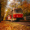 Red-tram-in-autumn-prague-czech-republic