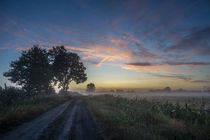 Sonnenaufgang über dem Feld by Patrick Ebert