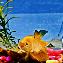 Yellow Fish von Looly Elzayat