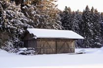 Romantische Winterstimmung am Waldrand im Schnee by Werner Meidinger