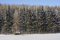 Holzstoß im Winter im Schnee vor verschneitem Tannenwald by Werner Meidinger