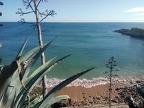 Avencas praias de Cascais Lisboa  by carla-tayane