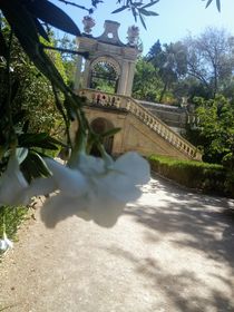 Botânico de Coimbra  by carla-tayane