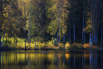 Waldsee by eksfotos