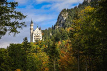 Schloss Neuschwanstein im Herbst von Christine Horn