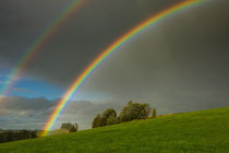 Regenbogen bei Eschach im Ostallgäu by Christine Horn