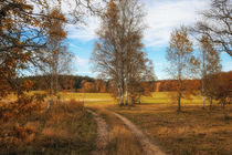 Landschaft im Naturschutzgebiet Irndorfer Hardt III - Naturpark Obere Donau von Christine Horn