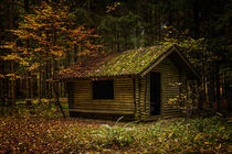 Schutzhütte im Irndorfer Hardt im Herbst - Naturpark Obere Donau von Christine Horn