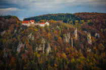 Burg Wildenstein im Naturpark Obere Donau von Christine Horn