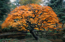 Japanese Maple Tree von davvy-arts