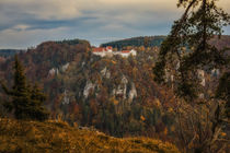 Blick auf Burg Wildenstein - Naturpark Obere Donau by Christine Horn