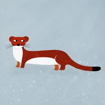 Weasel by Nic Squirrell