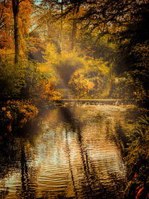 Autumn Light von Colin Metcalf