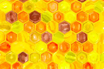 honey comb in a bee hive von havelmomente