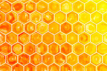 honey comb in a bee hive. von havelmomente