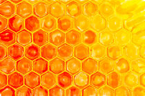 honey comb by havelmomente