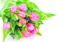 Illustration of Bunch pink tulips in springtime by havelmomente