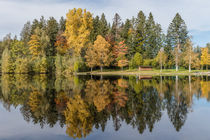Herbst am See / autumn at the lake von Gabi Emser