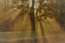 'erste Sonnenstrahlen an einem Herbstmorgen am Ufer der Niers' by Frank  Kimpfel