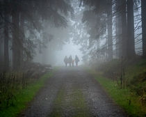In the fog by hiking-adventure-photography