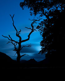 After Dark 1 by hiking-adventure-photography