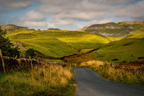 Dales Road by Colin Metcalf