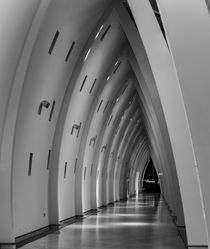 The Arches by Patrik Abrahamsson