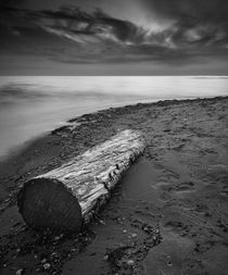 Log On The Beach by Patrik Abrahamsson