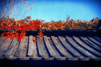 Autumn Japanese Garden by Tanya Kurushova