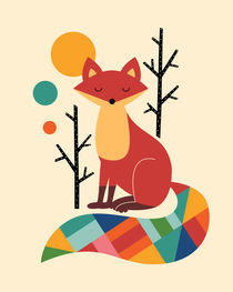 Rainbow Fox by andywestface