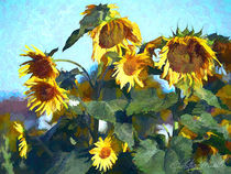 Digital Gemälde Sonnenblumen by Christian Mueller