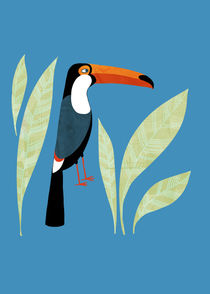 Toucan by Nic Squirrell