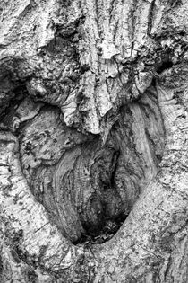 Baum mit Herz 3 by Marko Sarcevic