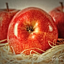 The Apple  by Peter Hebgen