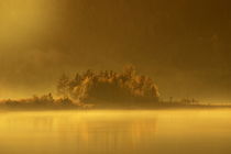 Sunrise at a forest lake where mist is rising von Intensivelight Panorama-Edition