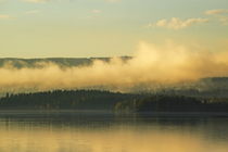 Golden mist is rising over the shore of a qiet forest lake von Intensivelight Panorama-Edition