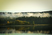 Hazy morning at the shore of a glassy forest lake on a sunny autumn day von Intensivelight Panorama-Edition