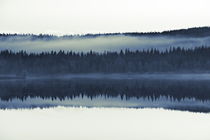 Mist rising from tree canopies is reflected in a smooth lake - duotone by Intensivelight Panorama-Edition