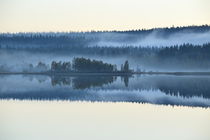 Blue hour at a smooth forest lake with rising mists von Intensivelight Panorama-Edition