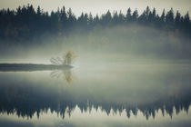 Autumn colored trees are growing at the shore of a misty and smooth lake von Intensivelight Panorama-Edition