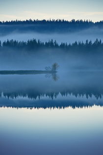 A misty forest is reflected in a glassy lake in the blue hour of an autumn day von Intensivelight Panorama-Edition