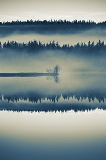 A misty forest is reflected in a glassy lake - duotone by Intensivelight Panorama-Edition