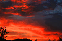 Forest Fire & Sunset von michael-craige