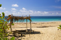 Sandy Beach of Tropical Island by cinema4design